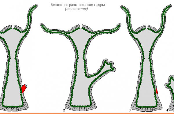 Kraken наркотики сайт