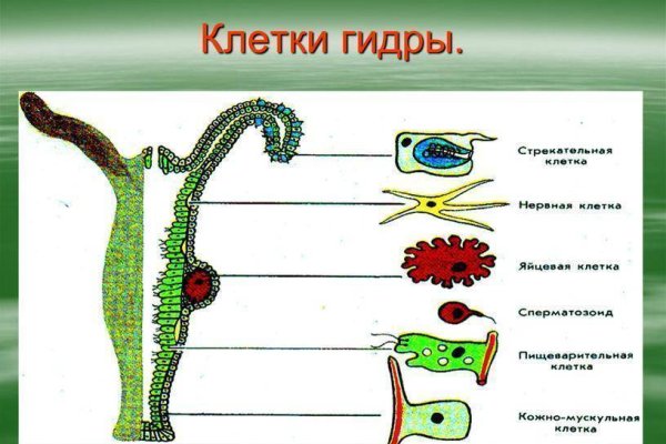 Даркнет официальный сайт на русском