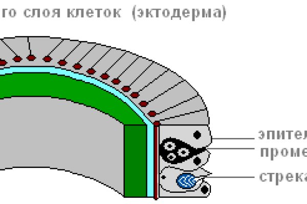 Площадка кракен kraken dark link