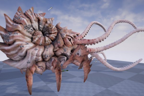 Kraken 14 at