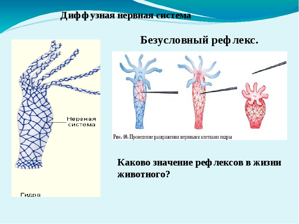 Kraken новая ссылка