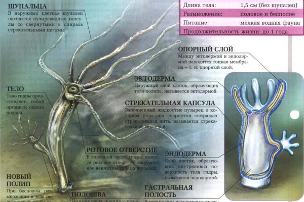 Kraken 19 at